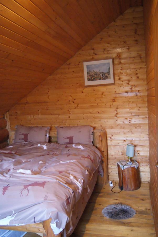 Musketeers Cabin Porumbacu de Sus Buitenkant foto