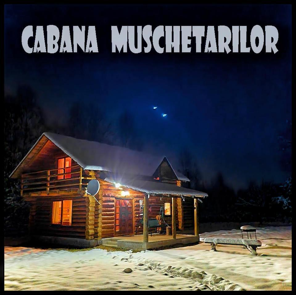 Musketeers Cabin Porumbacu de Sus Buitenkant foto
