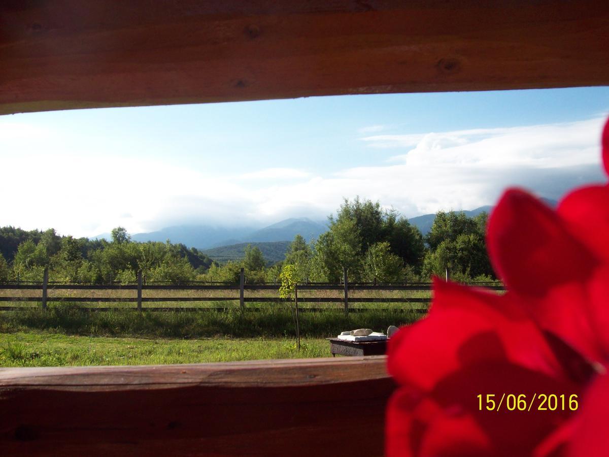 Musketeers Cabin Porumbacu de Sus Buitenkant foto