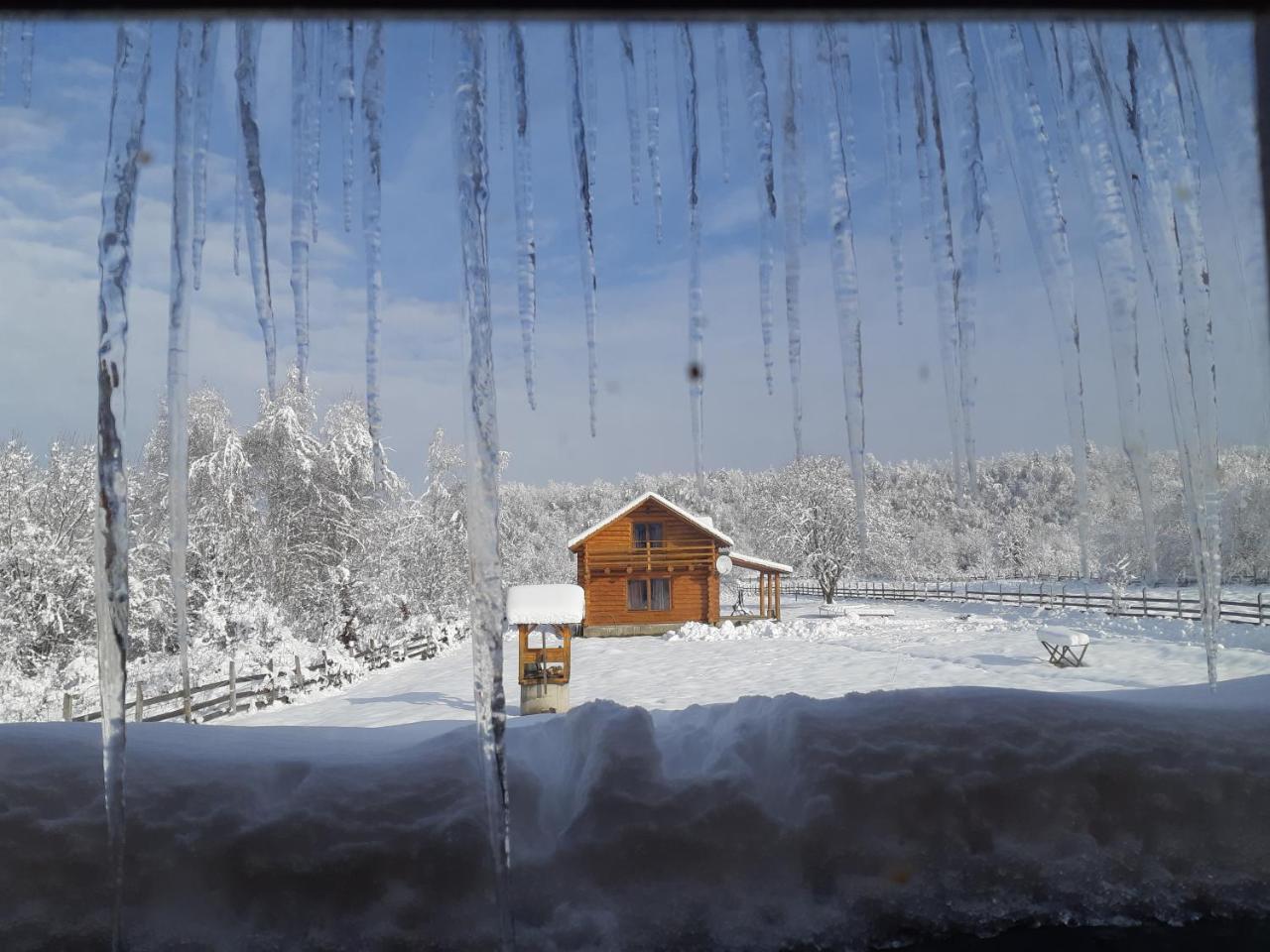 Musketeers Cabin Porumbacu de Sus Buitenkant foto